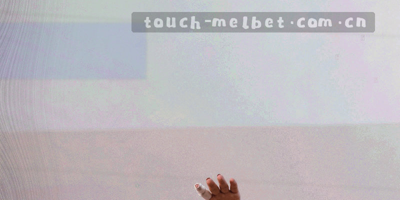 常用入口手机版MELBET图标集合